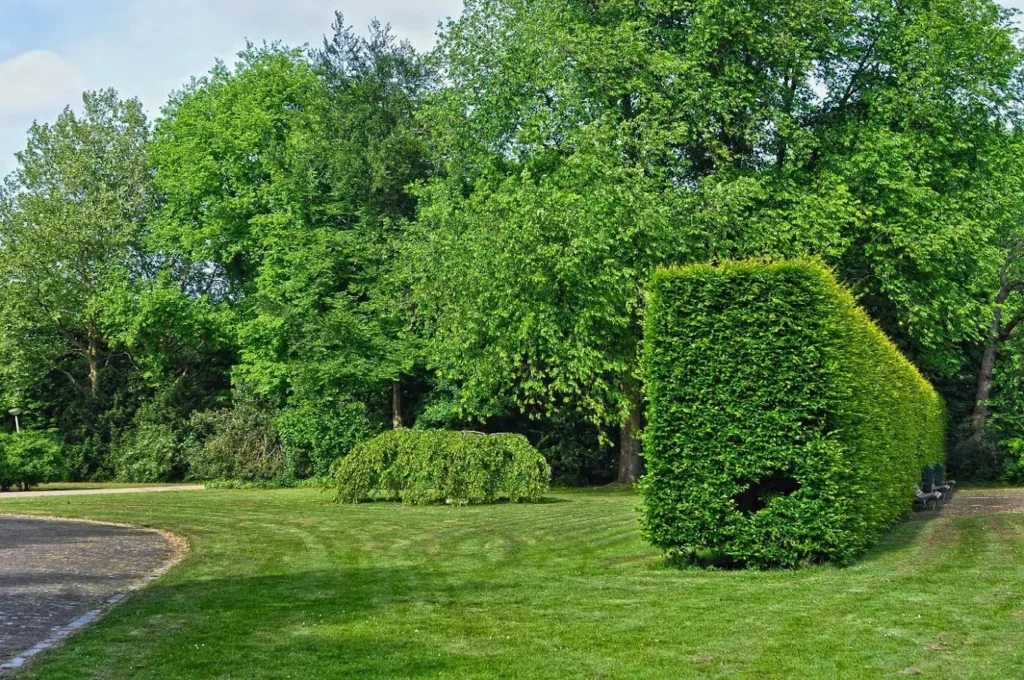 Entretien de jardin et des espaces verts à Abbeville