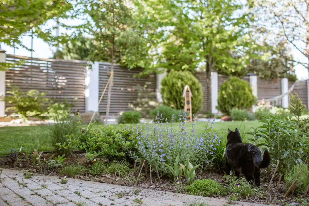 Entretien des espaces verts à Amiens