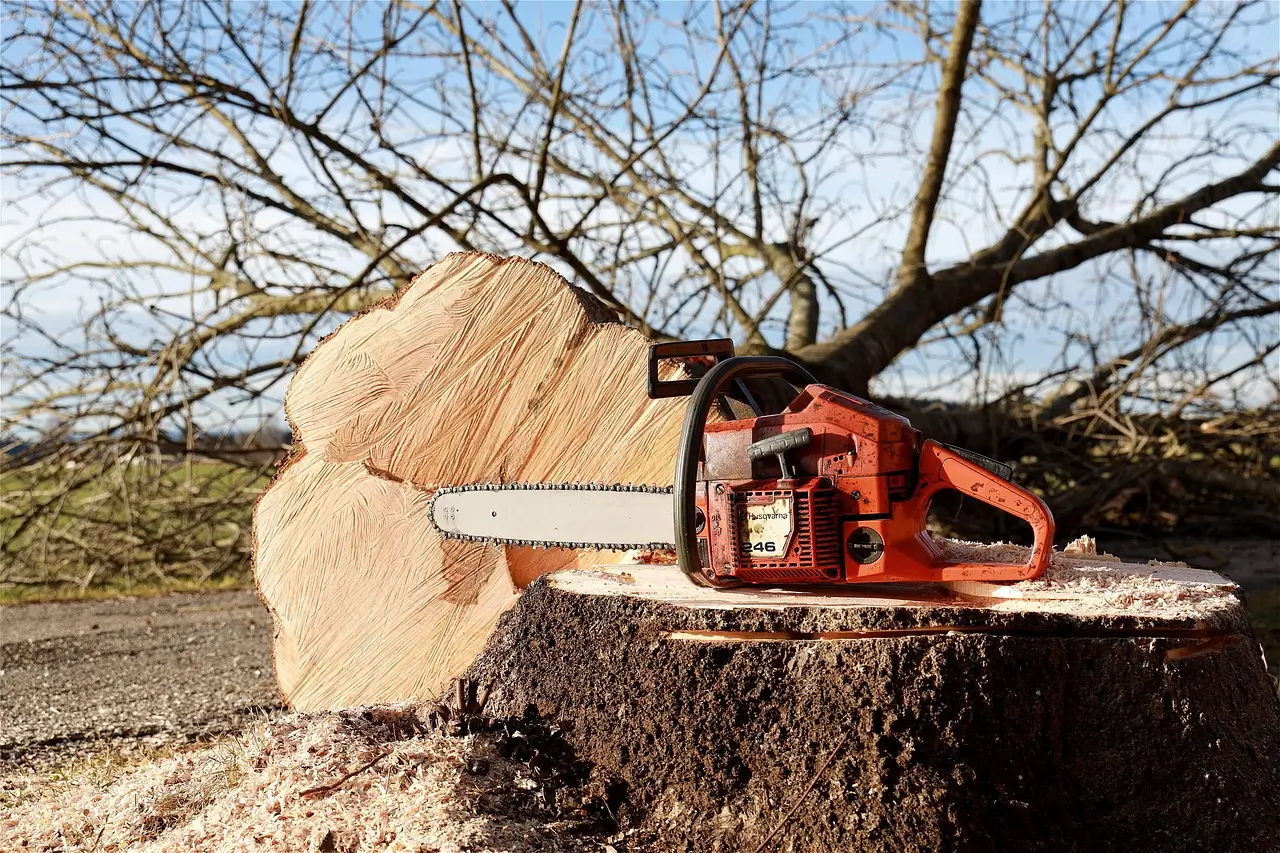 Abattage d'un arbre à Flixecourt